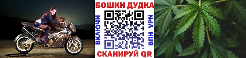Конопля планчик  наркота  блэк спрут как войти  Велиж 